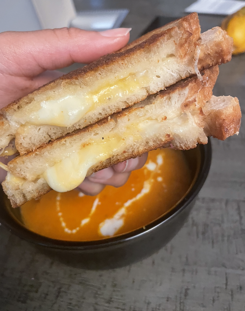 Grilled cheese sad which and tomato basil soup